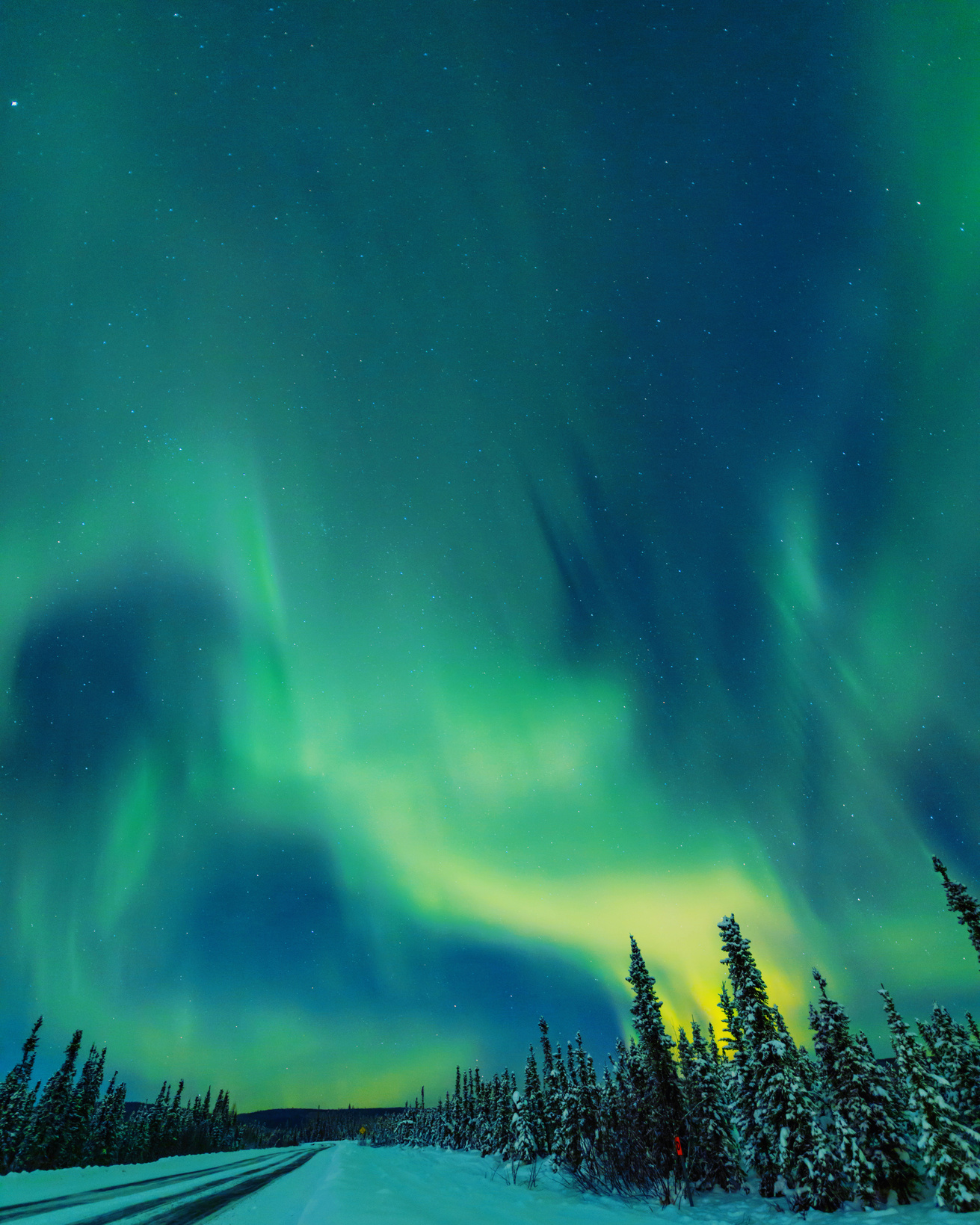 Northen Lights Over Snowy Trees